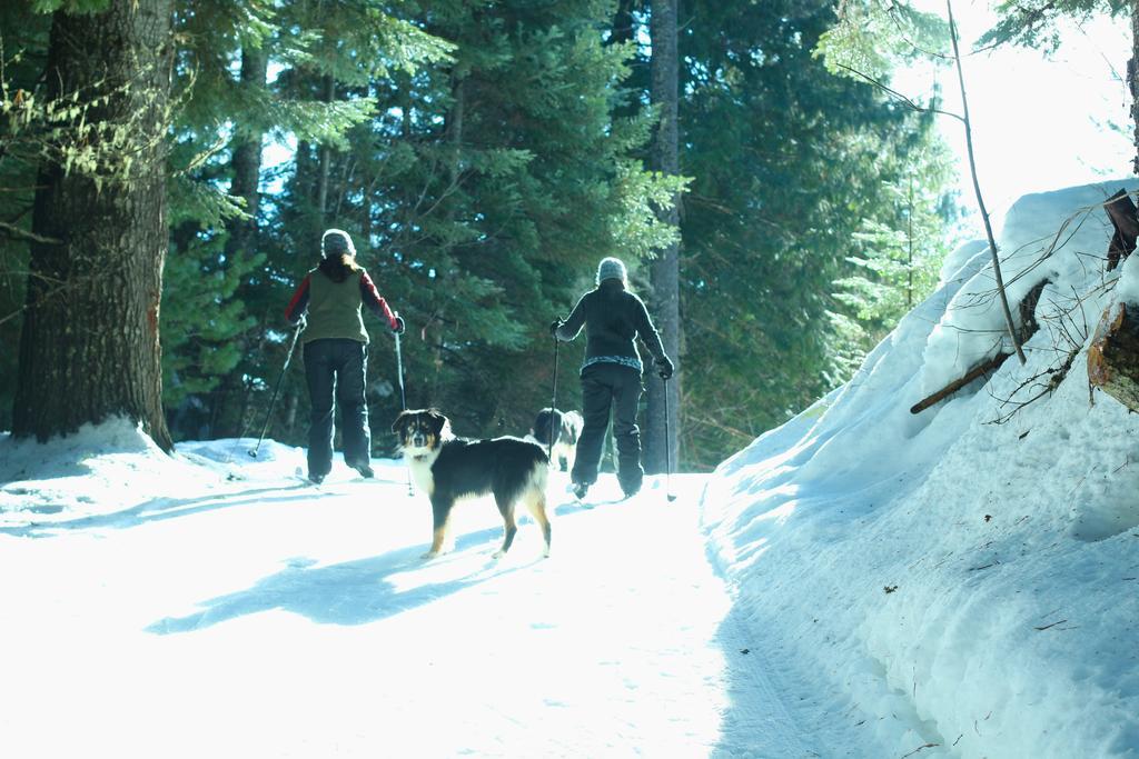 Western Pleasure Guest Ranch Sandpoint Exteriör bild