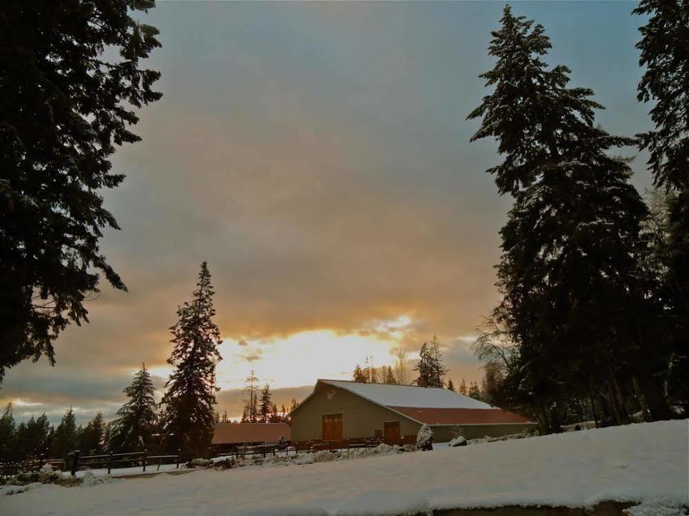 Western Pleasure Guest Ranch Sandpoint Exteriör bild